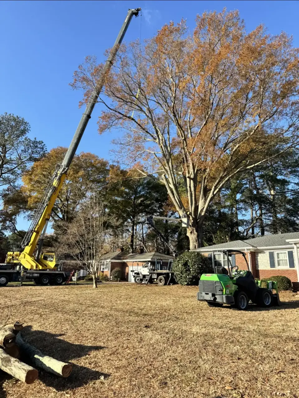 Crane and crew removing a large oak beside a Virginia Beach home